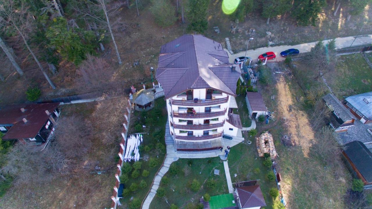 Hôtel Vila Alunis à Buşteni Extérieur photo